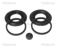 TRISCAN Brake Caliper Repair