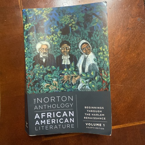 The norton anthology africa - the,