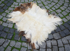 Angora Goat Leather Goatskin