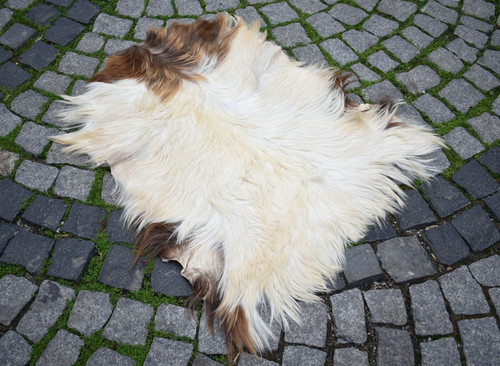 Angora goat leather goatskin - angora,