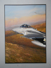 Military aviation print - military,