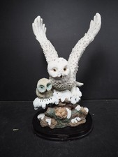 Large Snowy Owl with Owlet