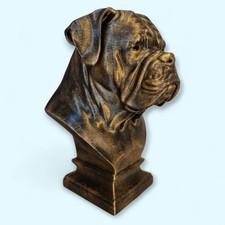 Stunning Dogue De Bordeaux