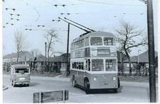 Trolleybus Photo: GKN379