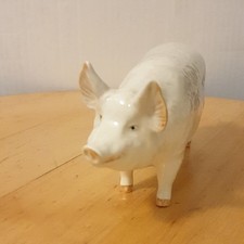 BESWICK PIG BOAR WALL CHAMPION BOY 53rd FIGURE No 1453A,Dated 1956 to 1998.