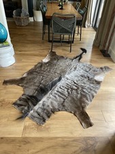 African Blue Wildebeest Hide / Skin / Rug (with all Taxidermy certification)