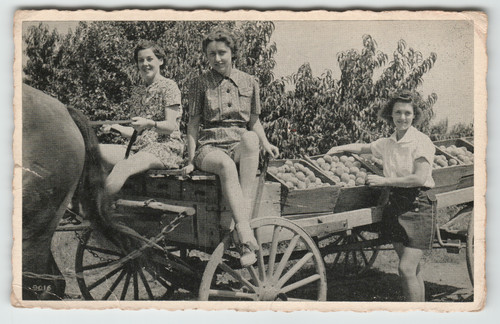 Postcard women horse and - women, on