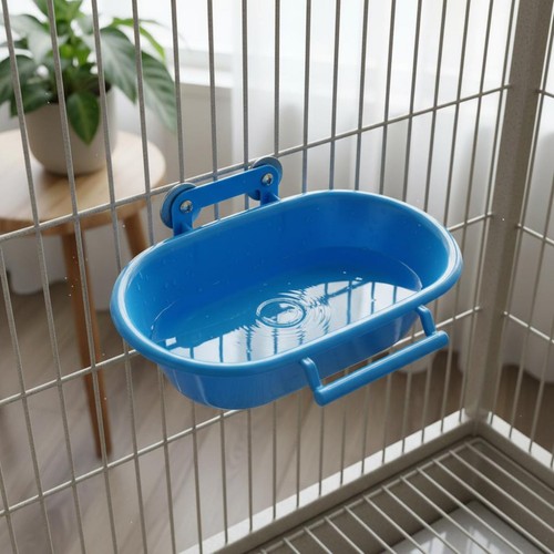 Parrot bath bowl - parrot, bird