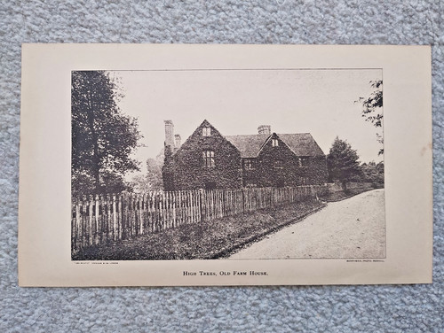 High trees old farm house - high,