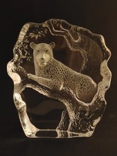 Mats Jonasson - Leopard for