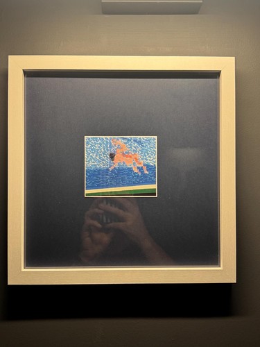 Framed david hockney - david,