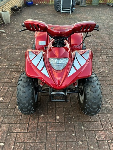Apache rlx 100cc quad - apache,