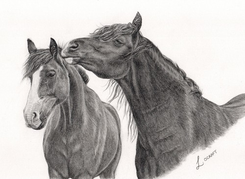 Custom pet portrait - pet,