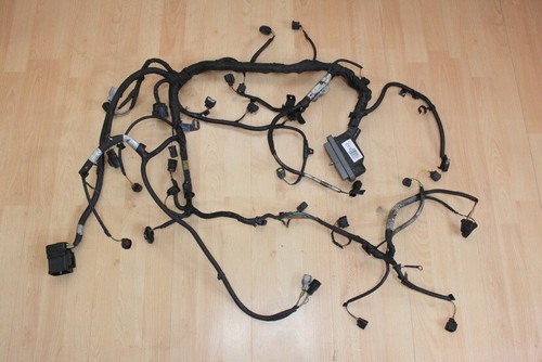 Engine management wiring loom - engine,