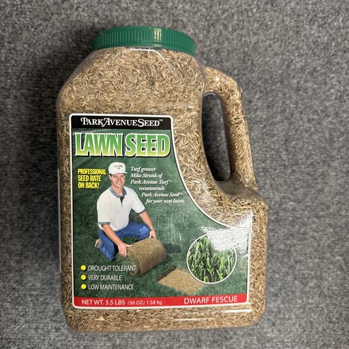 Park avenue seed lawn - lawn,