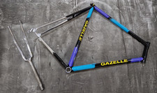 Gazelle Steel Racing Bike