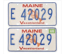 IT CHAPTER TWO (2019) Henry Bowers' Trans Am Licence Plates Screen Used