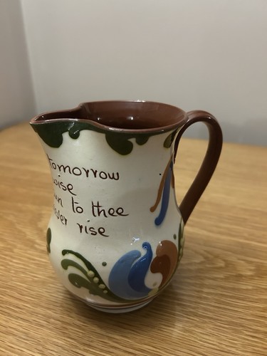 Torquay devon motto ware - devon,