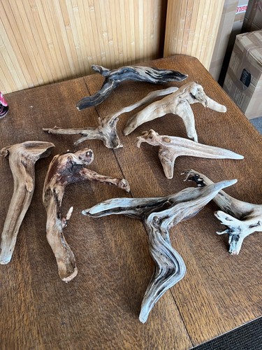Driftwood best streaky - driftwood,