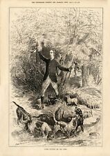 BORDER TERRIERS HUNTING with OTTERHOUND DOGS ANTIQUE ART PRINT ENGRAVING - 1881