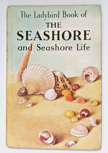 Ladybird the seashore - seashore, and