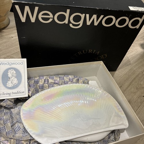 Wedgewood nautilus sea - wedgewood, shell