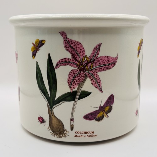 Vintage portmeirion botanic - vintage,