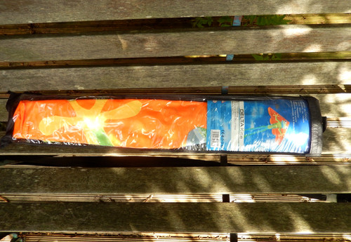 Large frog delta kite - frog,
