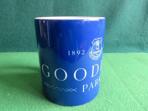 2025 everton goodison - 2025,