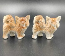 Vintage Pomeranian Dog