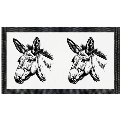 Donkey portrait pet feeding - portrait',