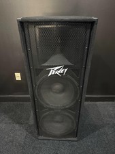 PEAVEY PV215 DUAL 15 INCH