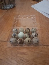 Quail Eggs