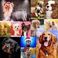 Dogs Full Drill DIY 5D Diamond