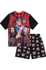 WWE World Wrestling