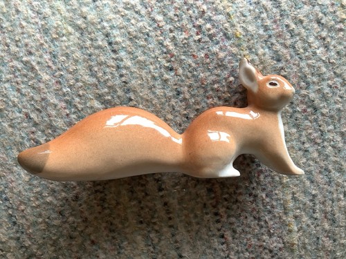 Lomonosov red squirrel - lomonosov,