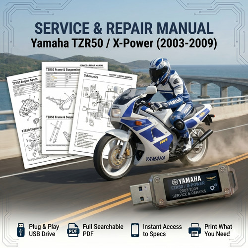 Yamaha tzr50 power 2003 2004 - tzr50,