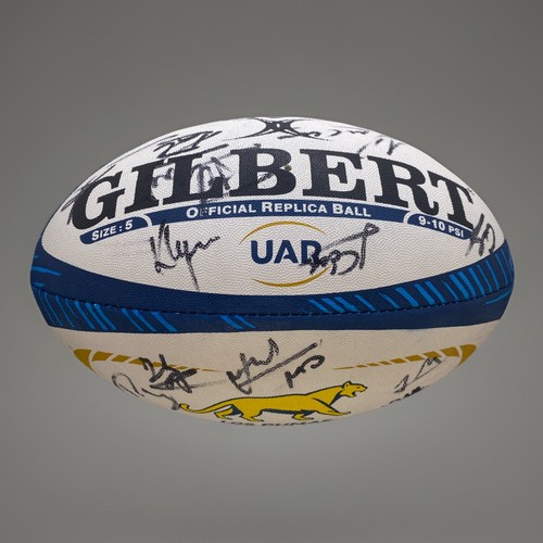 Argentina rugby ball - argentina, team