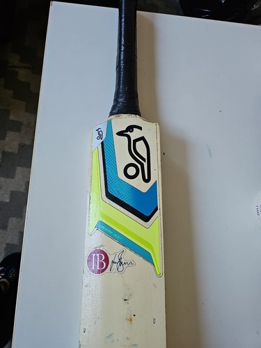 Kookaburra kahuna blitz - kookaburra,