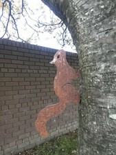 Rusty Red Squirrel Metal