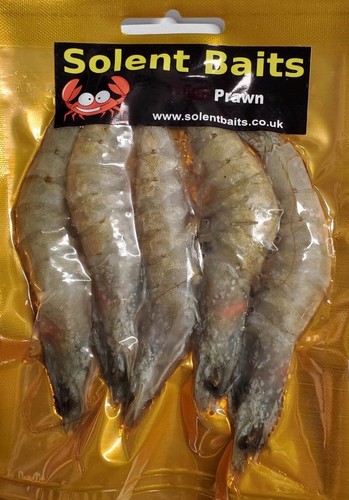 Packs prawns frozen sea - ,