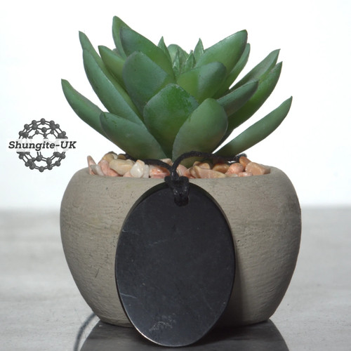 Shungite pendant oval emf - pendant,