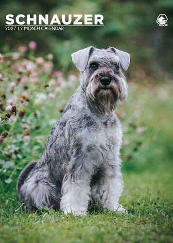 Schnauzer dog 2027 calendars - 2027,