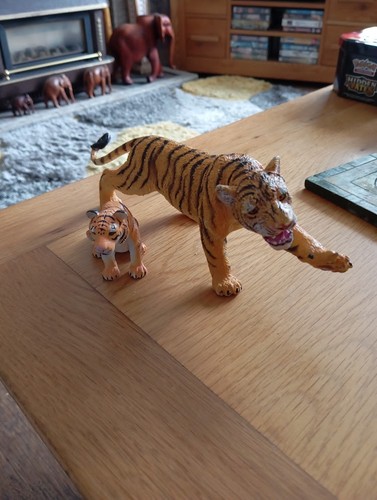 Aaa elc tiger - tiger, bundle