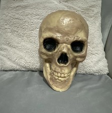 Human Skull Replica