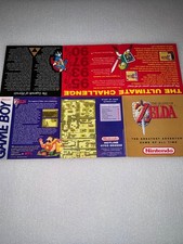 Legend of Zelda Link to the