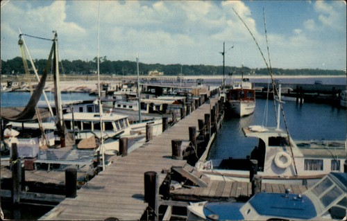 Mississippi gulfport deep sea - gulfport,