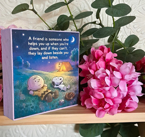 Peanuts snoopy charlie brown - charlie,