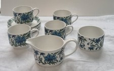 Midwinter Spanish Garden