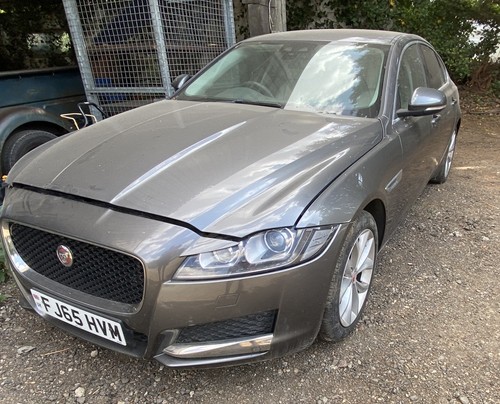 Jaguar portfolio x260 - x260, 2.0